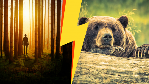 Ki a rém, a pasi, vagy a medve? – Gondolatok a sztori végére